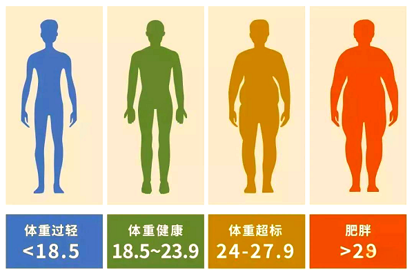 人體健康指標有哪些?輕松讀懂自己的身體信號 人體健康指標有哪些?輕松讀懂自己的身體信號